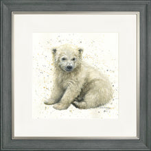 Load image into Gallery viewer, Pennington