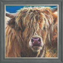 Load image into Gallery viewer, Hetty