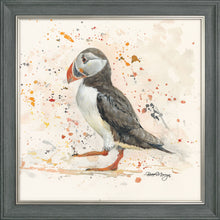Load image into Gallery viewer, Petula