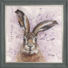 Load image into Gallery viewer, Horatio Purple