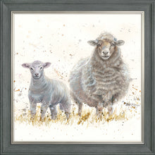 Load image into Gallery viewer, Ewe Beauties