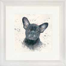 Load image into Gallery viewer, Fifi