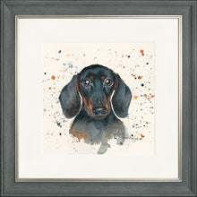 Load image into Gallery viewer, Sid