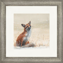 Load image into Gallery viewer, Foy