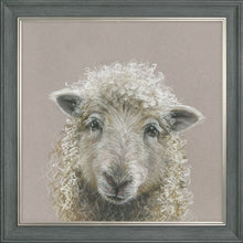 Load image into Gallery viewer, Suzy