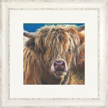 Load image into Gallery viewer, Hetty