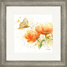 Load image into Gallery viewer, Apricot Dream