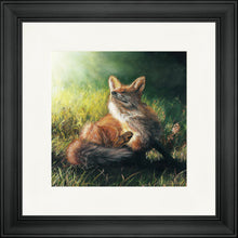 Load image into Gallery viewer, Finn