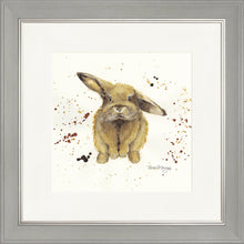 Load image into Gallery viewer, Benji