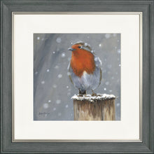 Load image into Gallery viewer, Reggie
