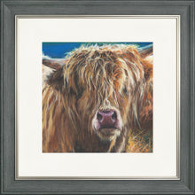 Load image into Gallery viewer, Hetty
