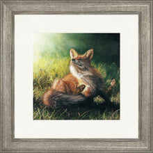 Load image into Gallery viewer, Finn