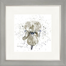 Load image into Gallery viewer, Grey Iris