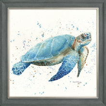 Load image into Gallery viewer, Tarquin