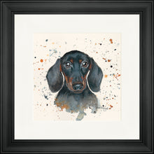 Load image into Gallery viewer, Sid