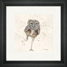 Load image into Gallery viewer, Oliver
