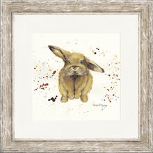 Load image into Gallery viewer, Benji