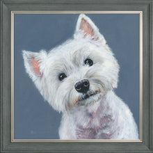 Load image into Gallery viewer, Finley