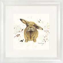 Load image into Gallery viewer, Benji