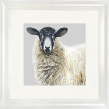 Load image into Gallery viewer, Shelley