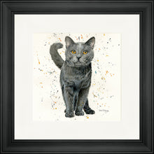 Load image into Gallery viewer, Ash