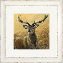 Load image into Gallery viewer, Sterling