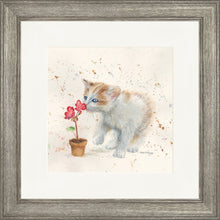 Load image into Gallery viewer, Fizz