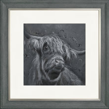 Load image into Gallery viewer, Dougal 2