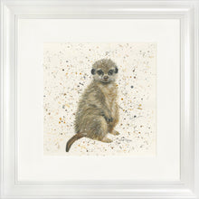 Load image into Gallery viewer, Marcus