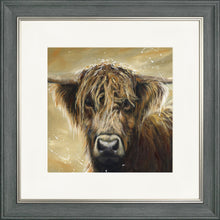 Load image into Gallery viewer, Colourful Hamish