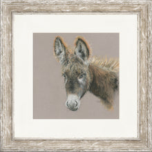Load image into Gallery viewer, Dolores