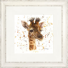 Load image into Gallery viewer, Gemima
