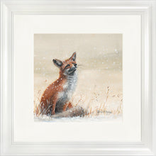 Load image into Gallery viewer, Foy