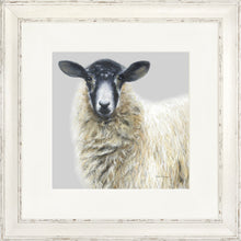 Load image into Gallery viewer, Shelley