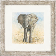 Load image into Gallery viewer, Edgar