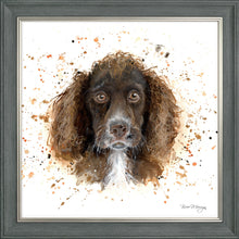 Load image into Gallery viewer, Coco