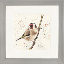 Load image into Gallery viewer, Gordon