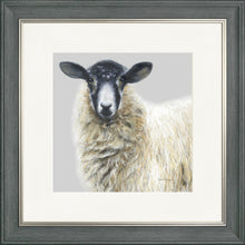 Load image into Gallery viewer, Shelley