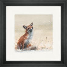 Load image into Gallery viewer, Foy