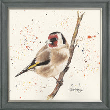 Load image into Gallery viewer, Gordon