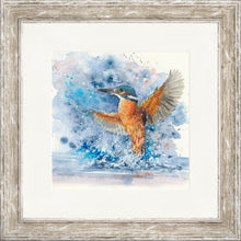 Load image into Gallery viewer, Colourful Kingfisher