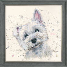 Load image into Gallery viewer, Fergal