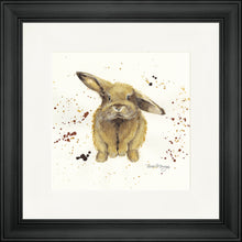 Load image into Gallery viewer, Benji