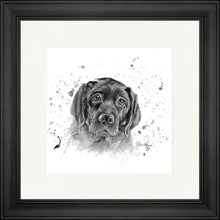 Load image into Gallery viewer, Luna B&W