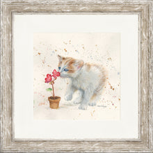 Load image into Gallery viewer, Fizz