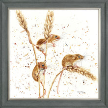 Load image into Gallery viewer, The Grain Gang