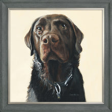 Load image into Gallery viewer, Amos
