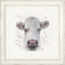 Load image into Gallery viewer, Lily with Splats