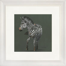 Load image into Gallery viewer, Zoe Grey