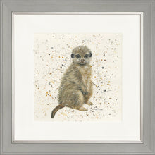 Load image into Gallery viewer, Marcus